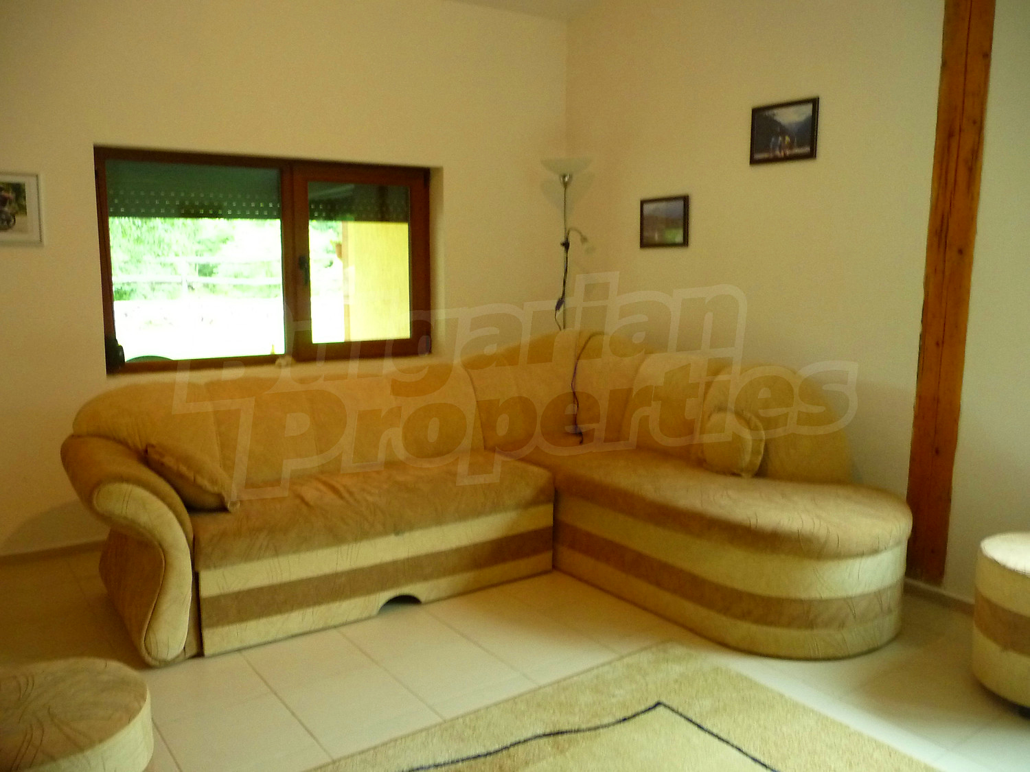 Gallery Picture 17