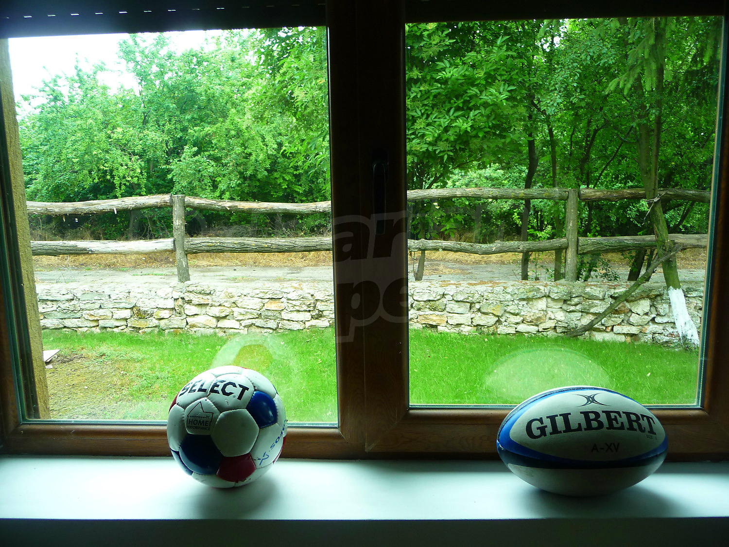 Gallery Picture 23