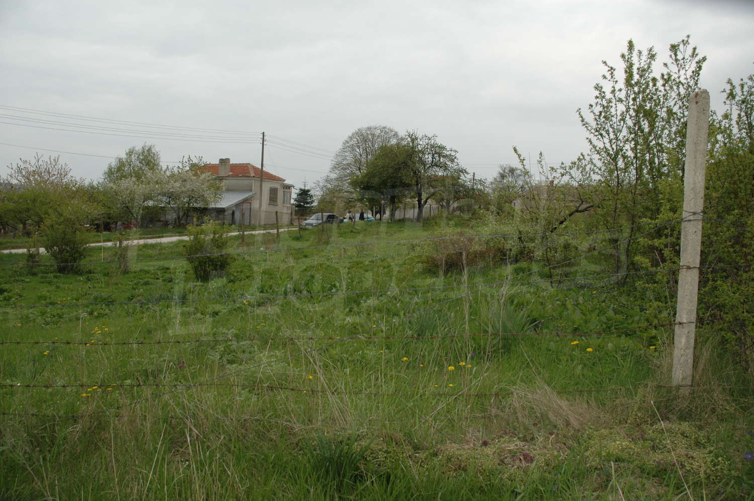 Gallery Picture 6