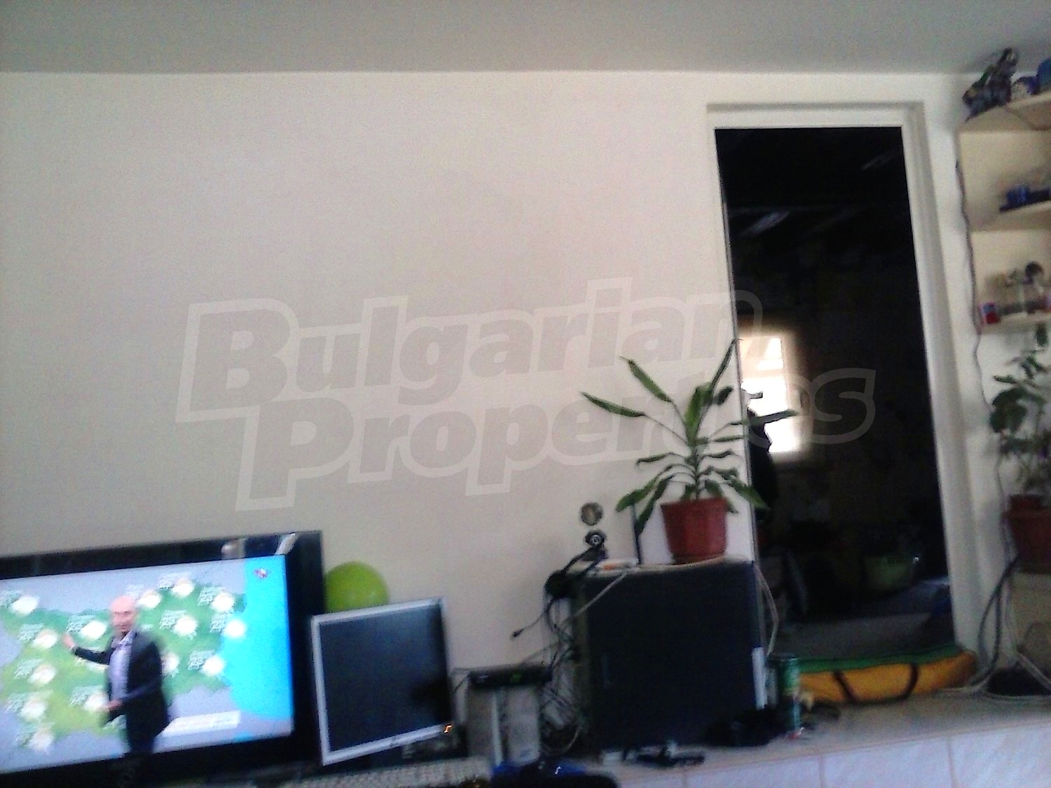 Gallery Picture 12