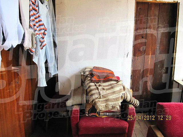 Gallery Picture 14