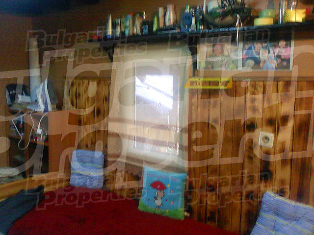 Gallery Picture 17