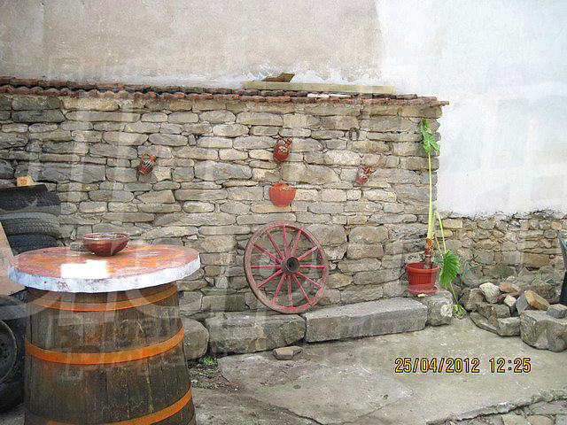 Gallery Picture 26