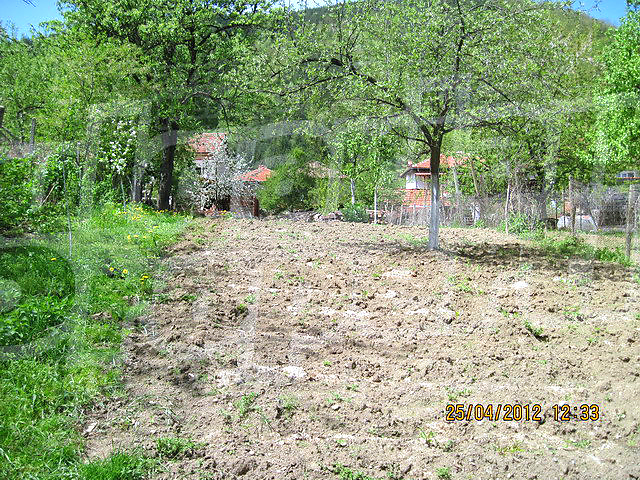 Gallery Picture 31