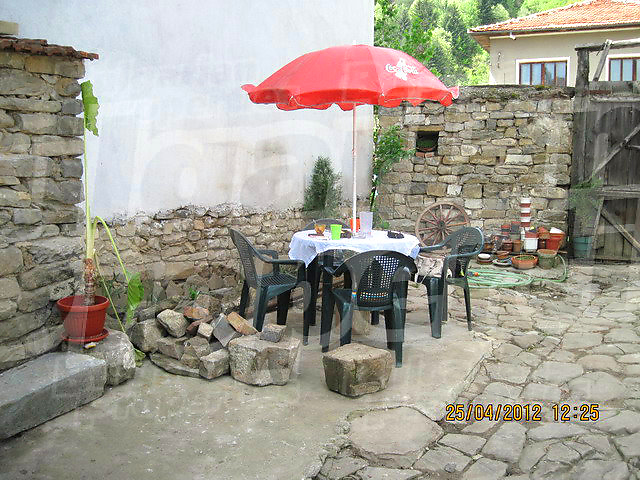 Gallery Picture 45