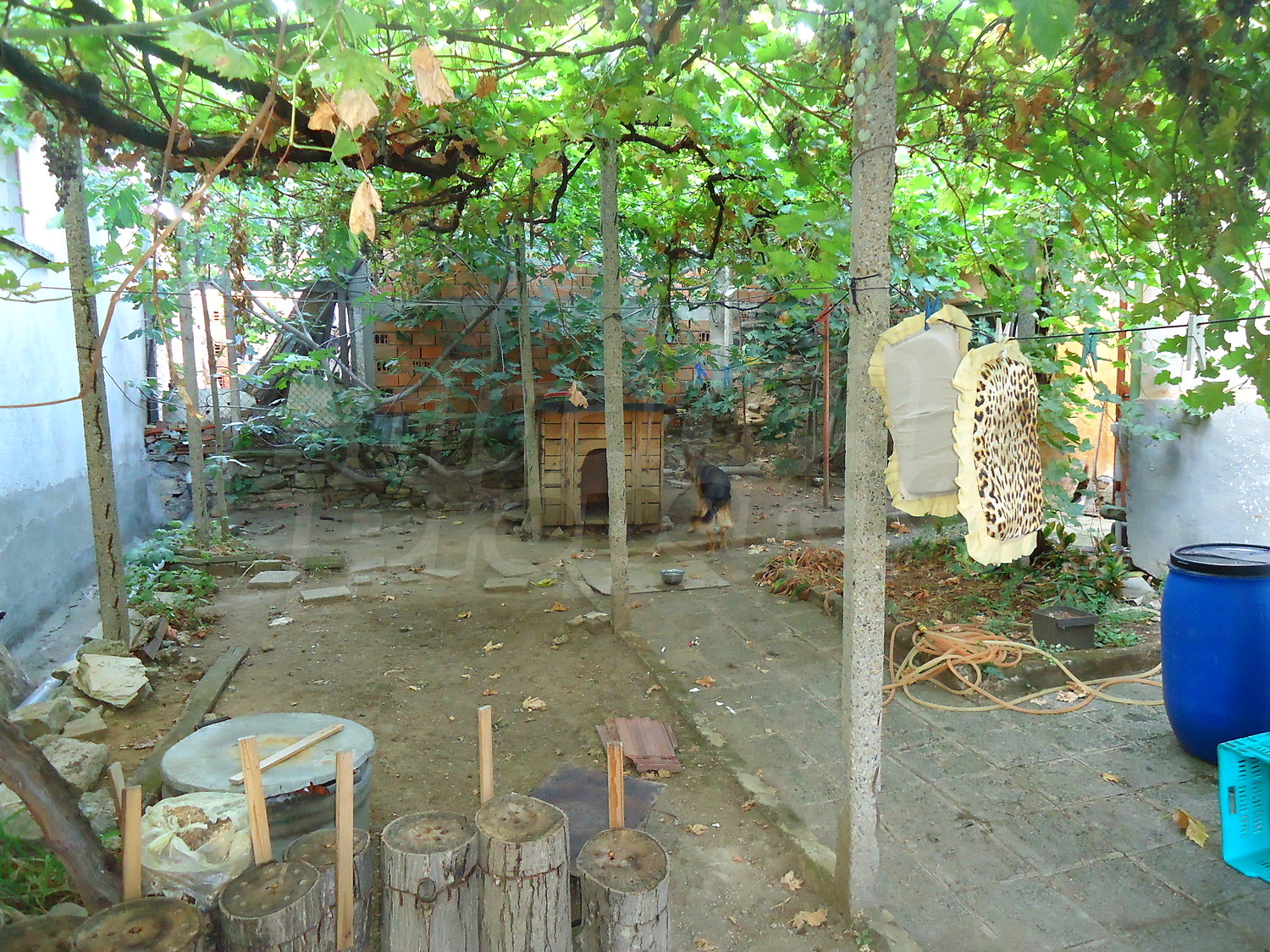 Gallery Picture 12