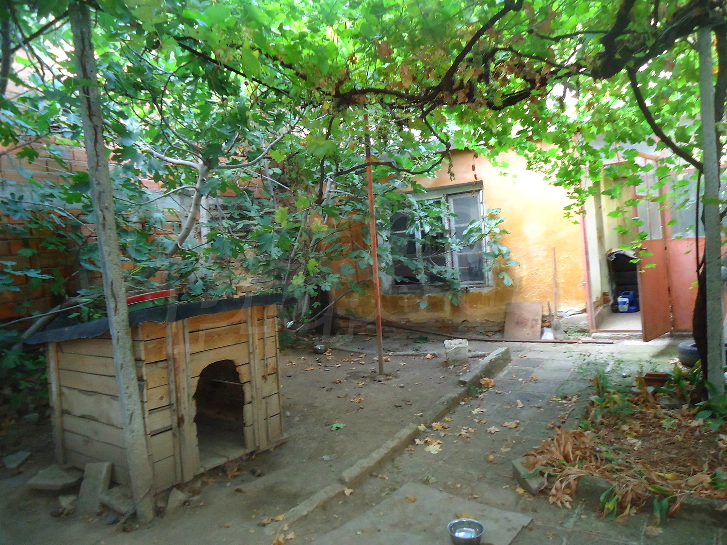 Gallery Picture 13