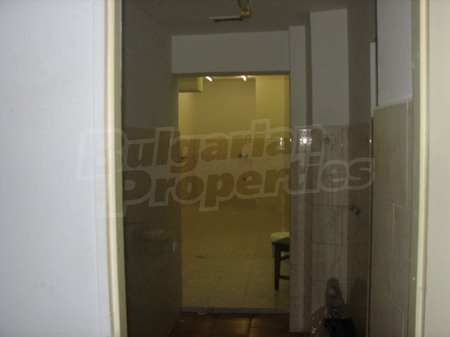 Gallery Picture 14