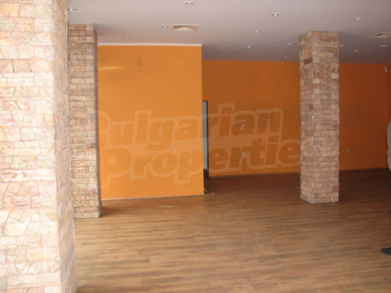 Gallery Picture 6