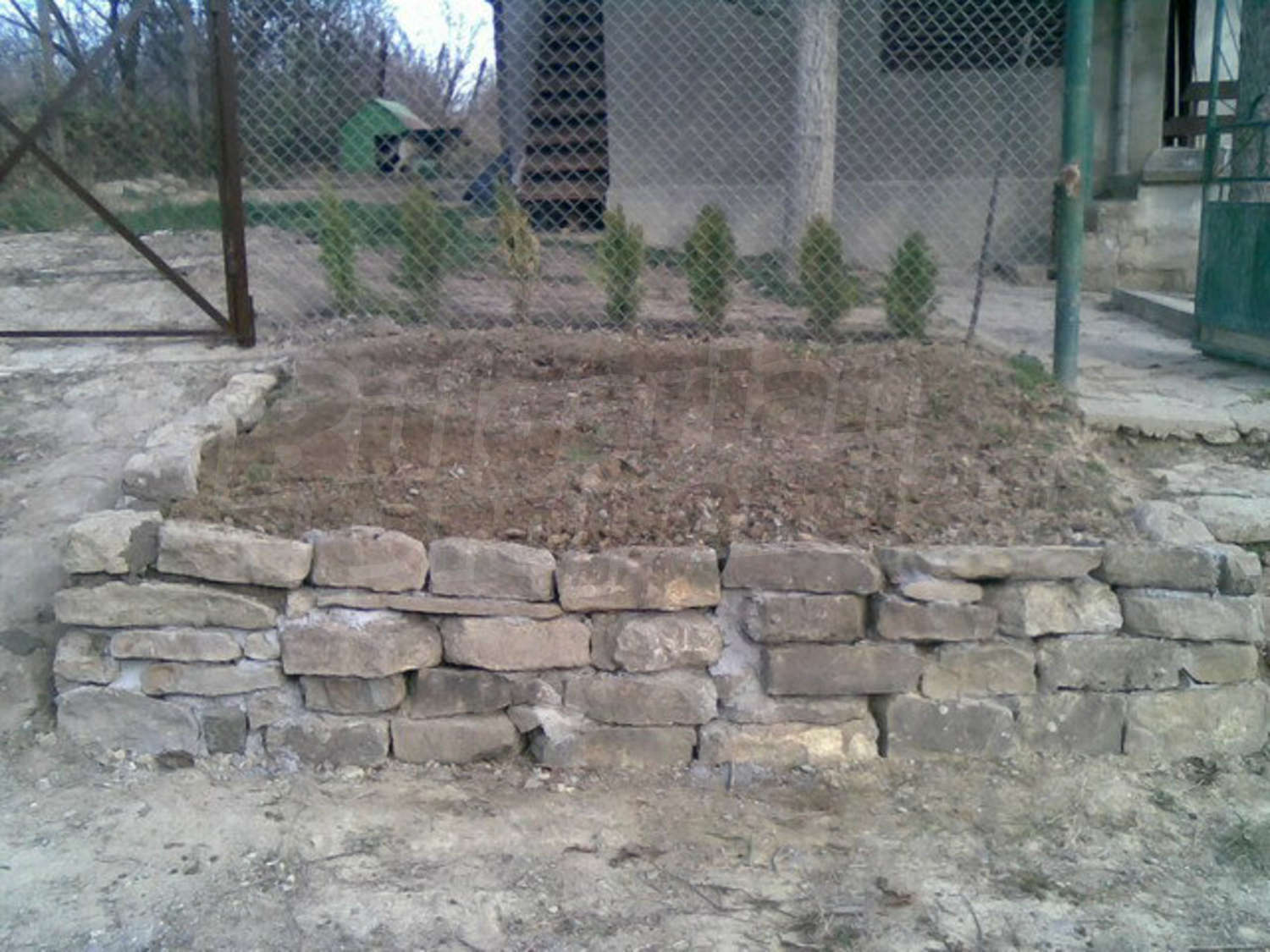 Gallery Picture 29