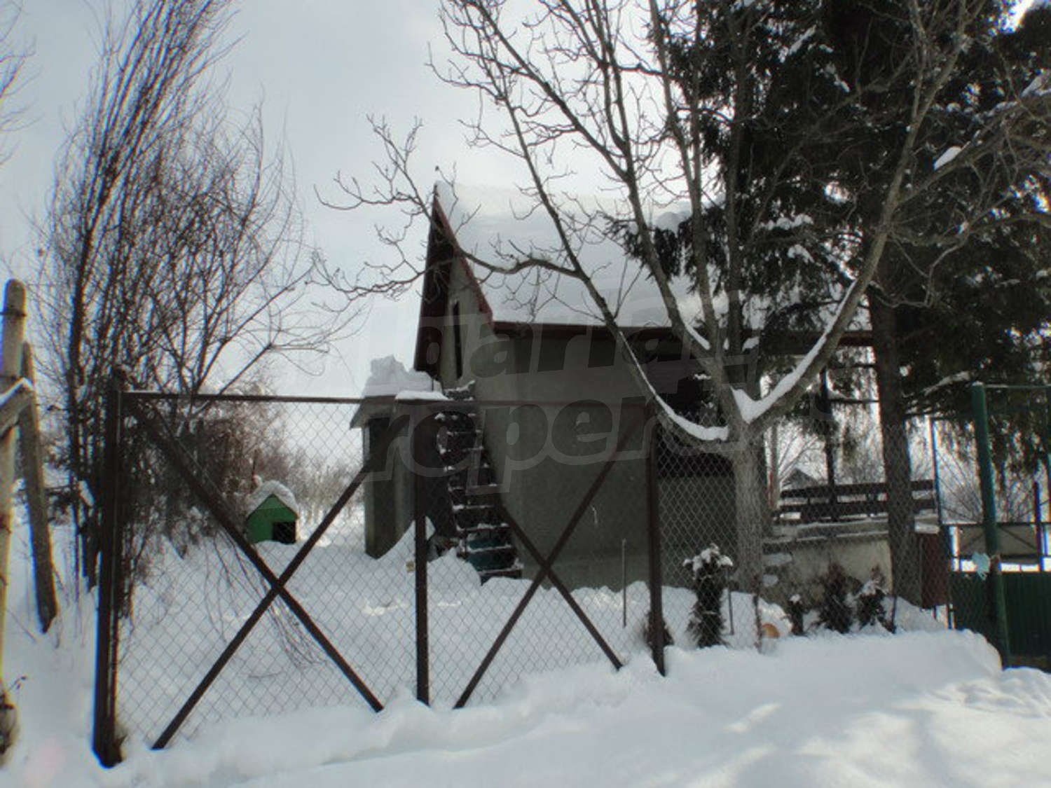 Gallery Picture 56