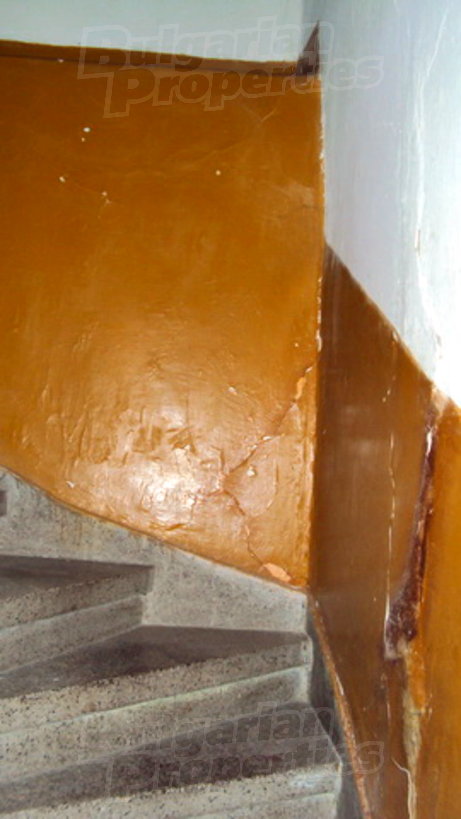 Gallery Picture 10