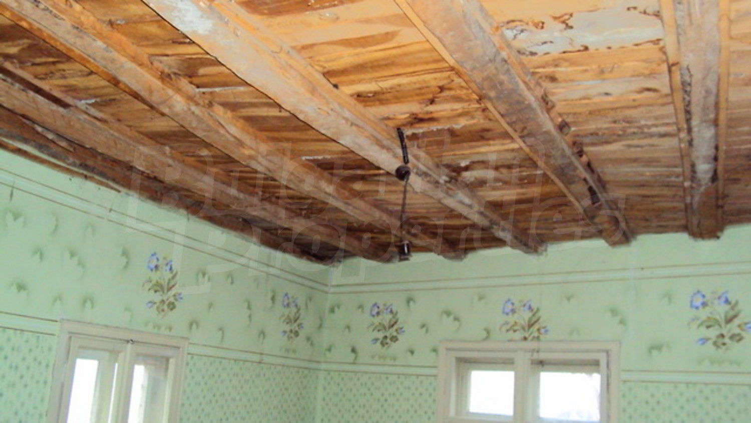 Gallery Picture 15