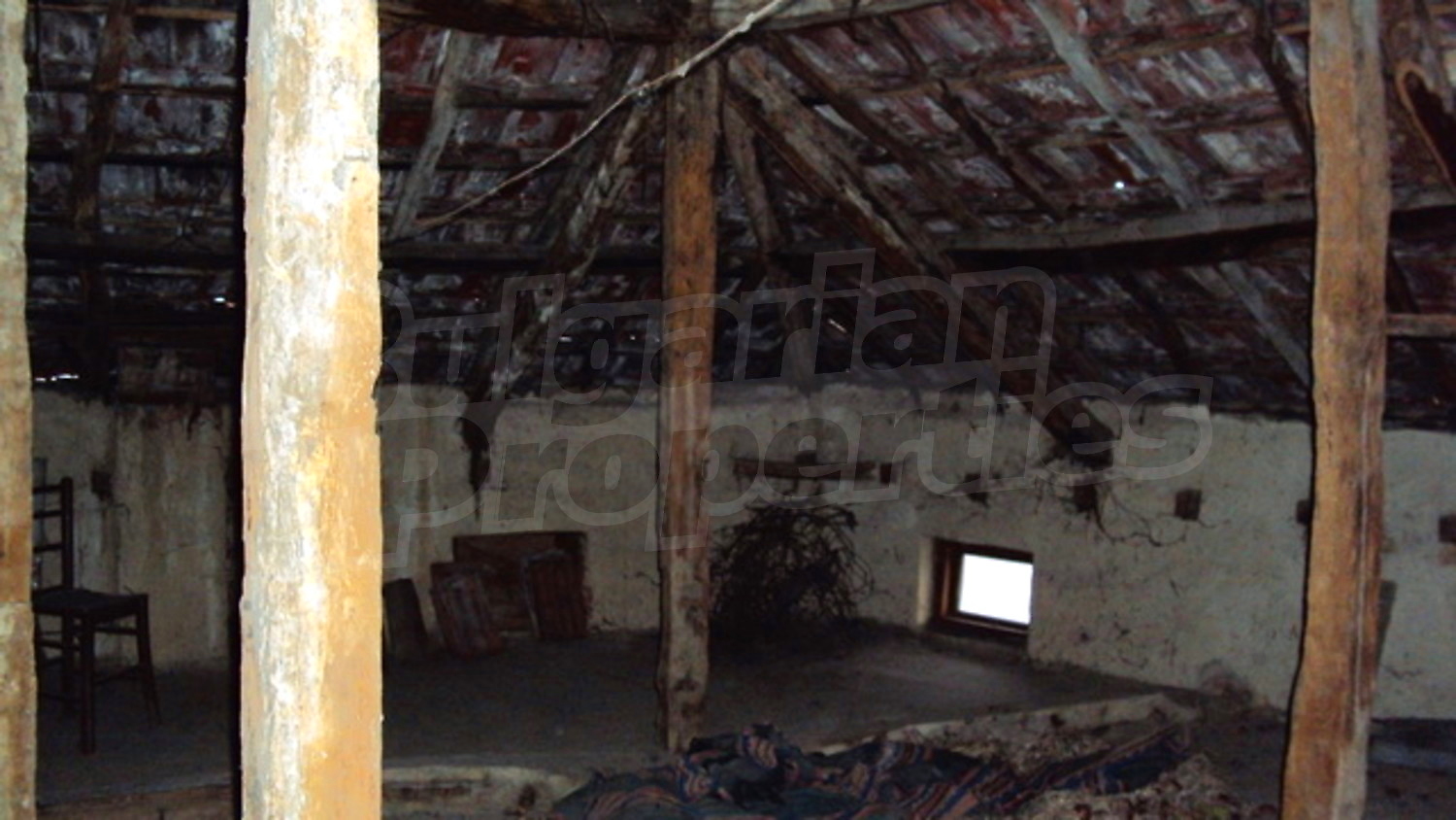 Gallery Picture 17