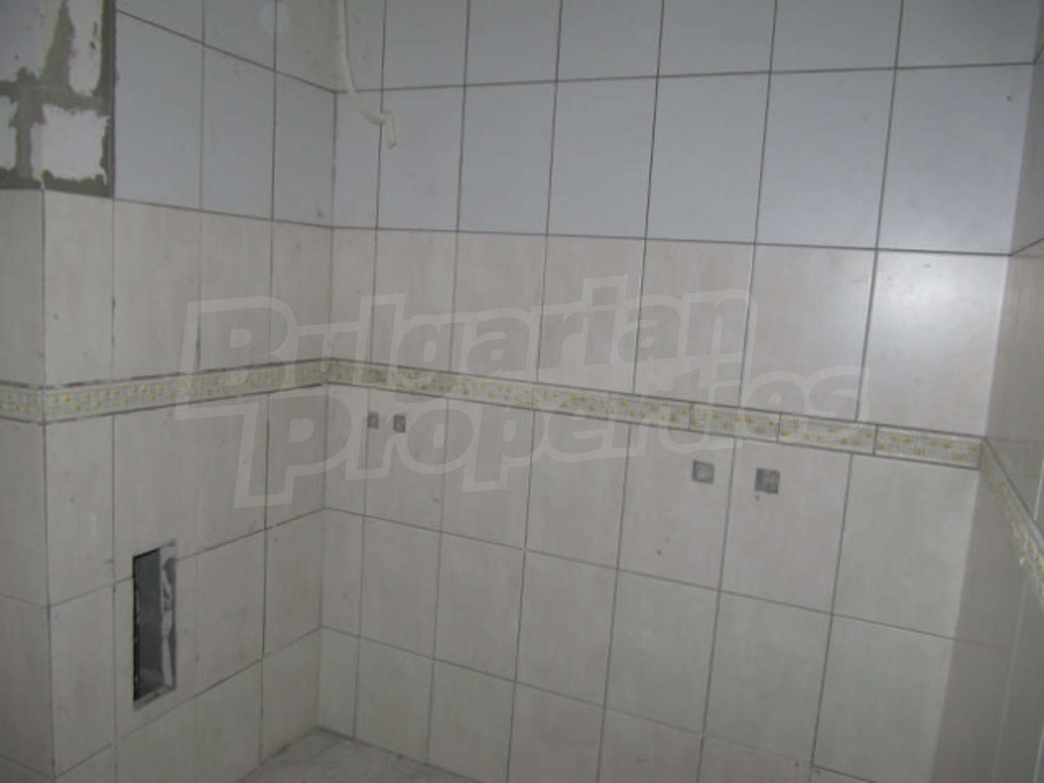 Gallery Picture 11