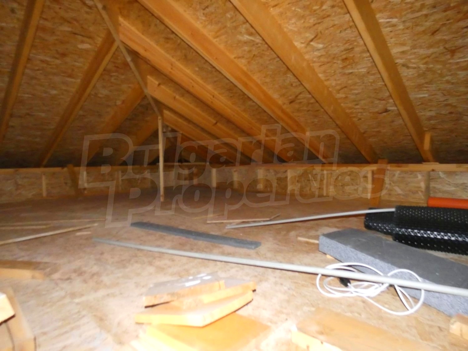 Gallery Picture 24