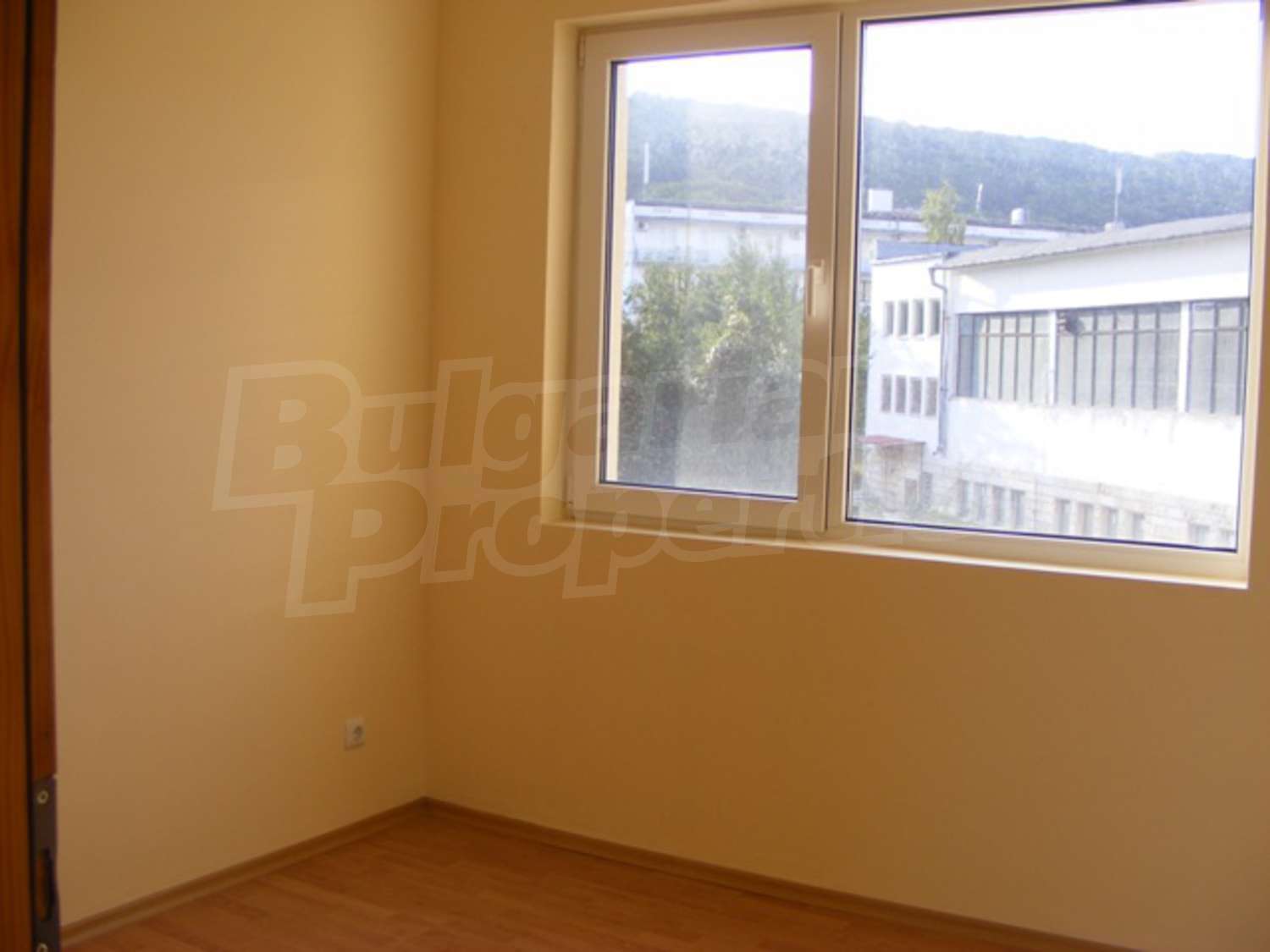Gallery Picture 24