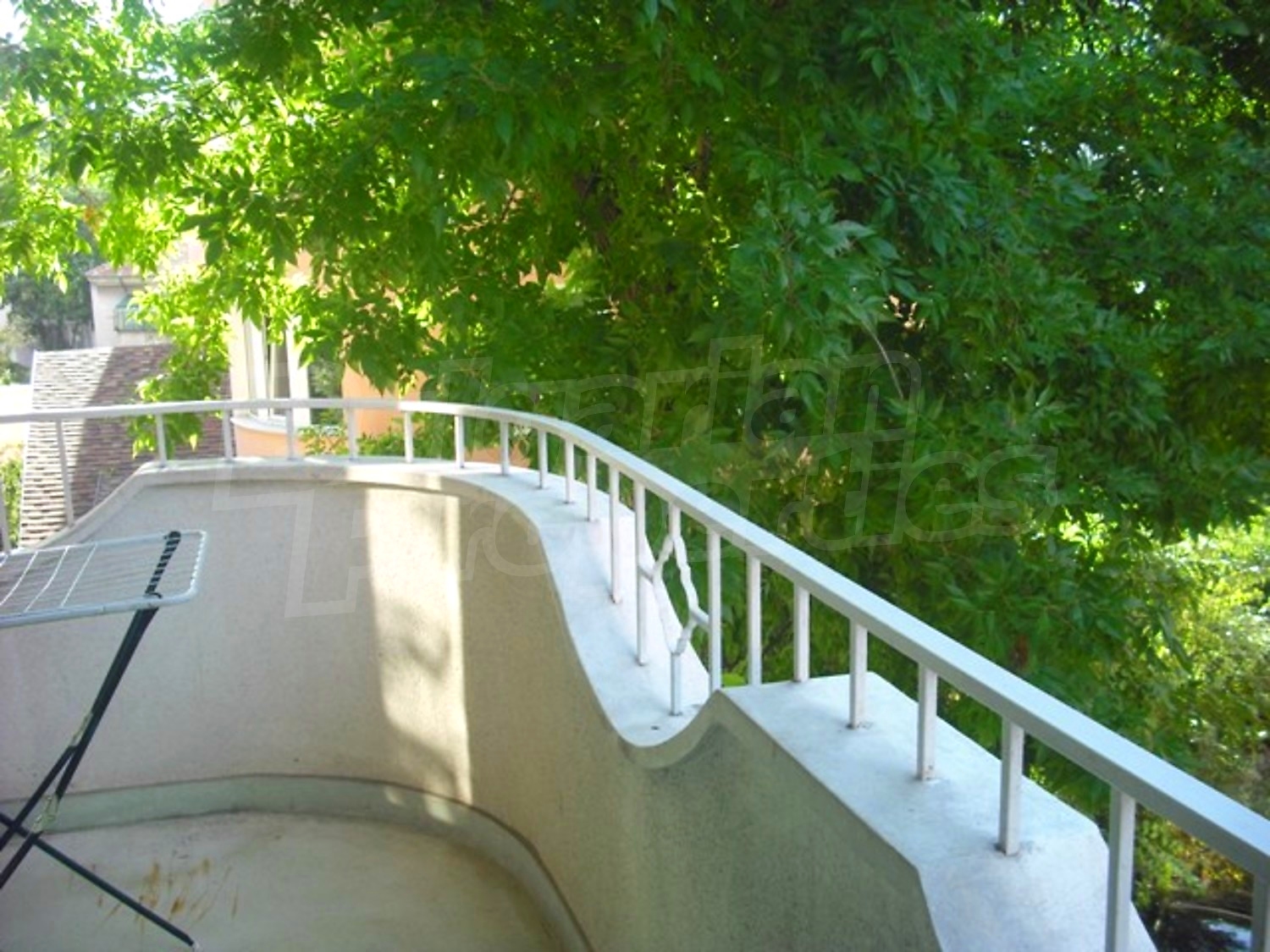 Gallery Picture 12
