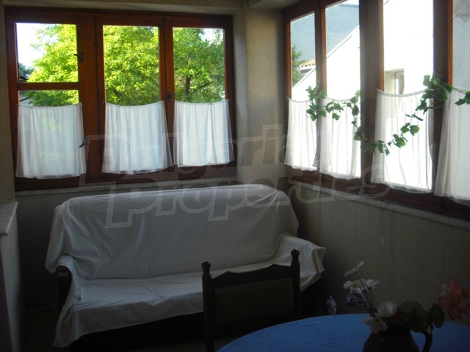 Gallery Picture 17