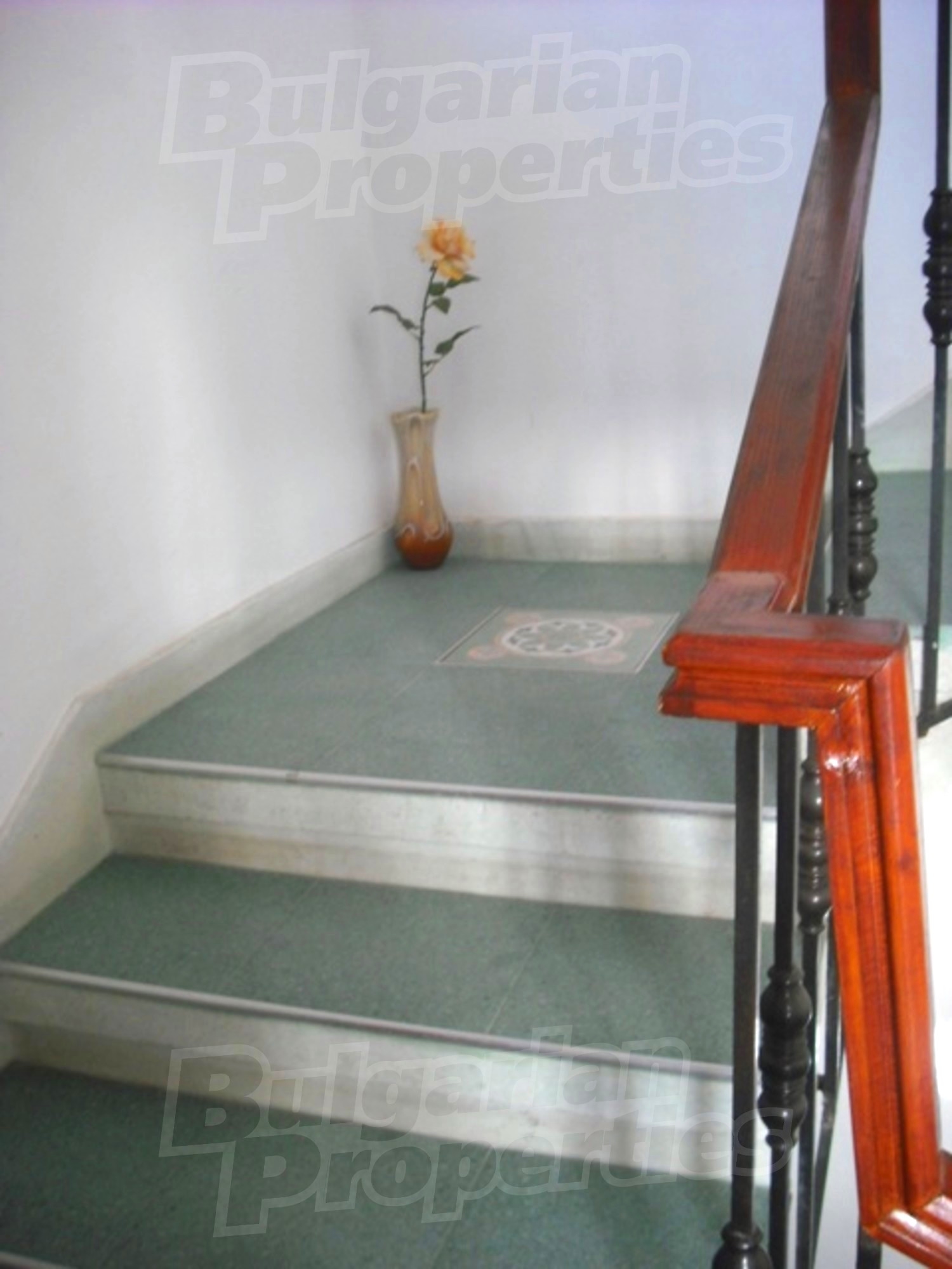Gallery Picture 26