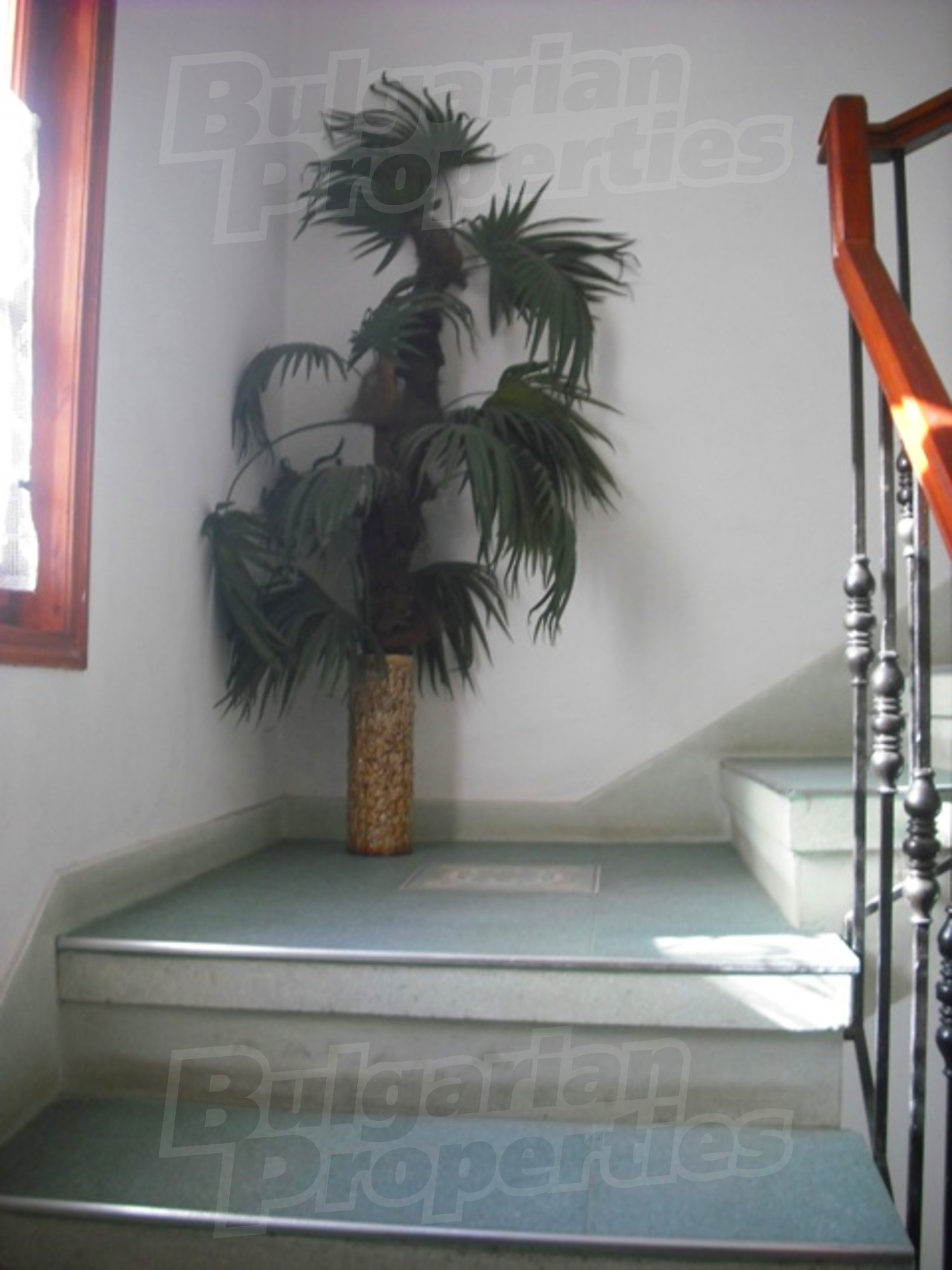 Gallery Picture 27