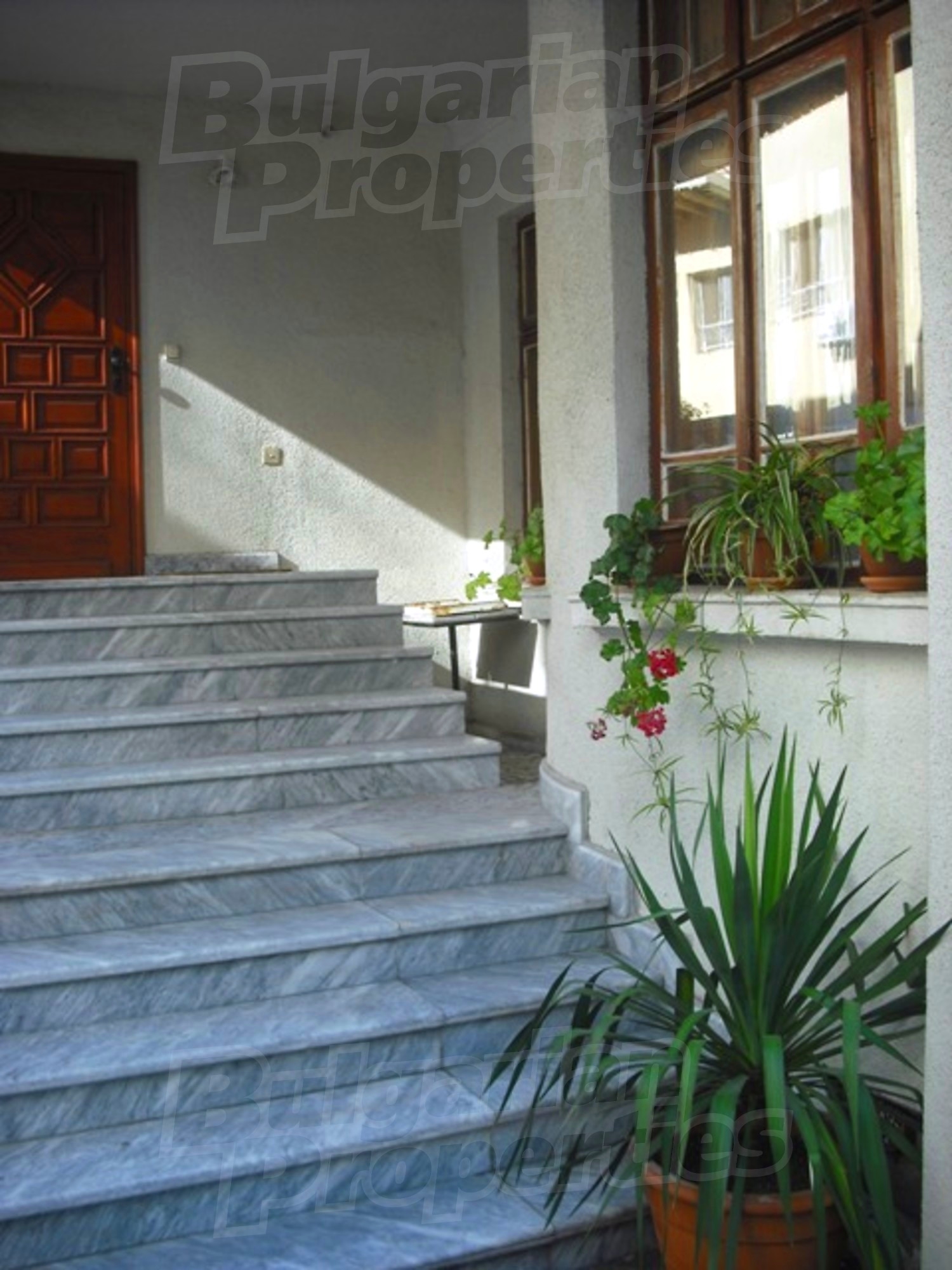 Gallery Picture 29