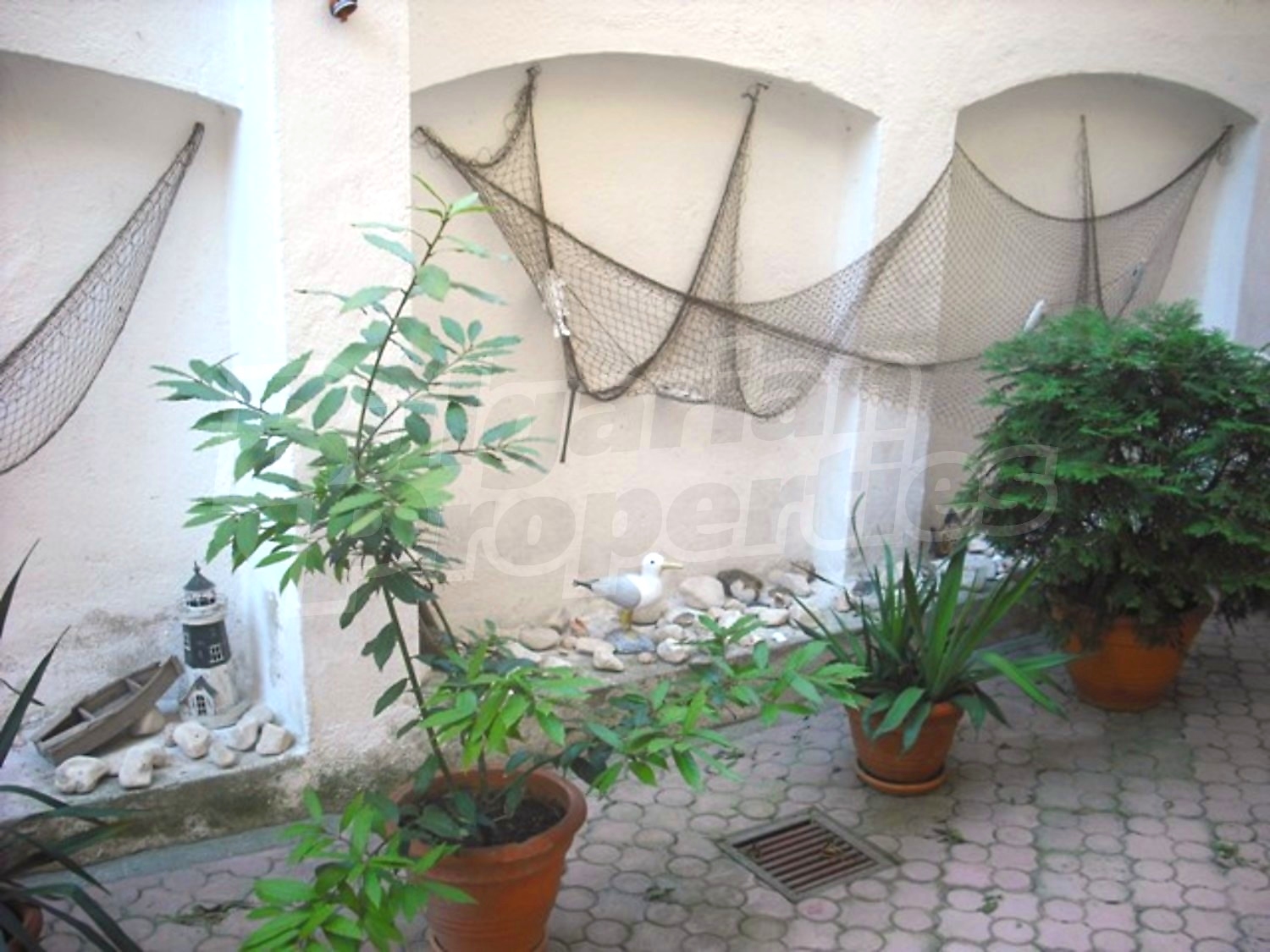 Gallery Picture 31