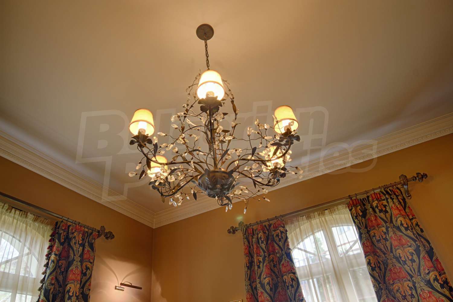 Gallery Picture 19