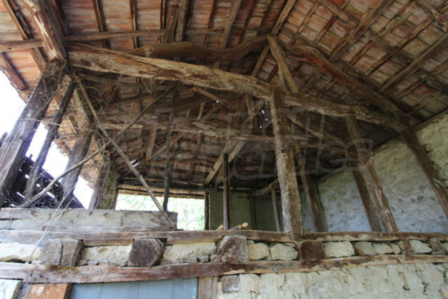 Gallery Picture 10