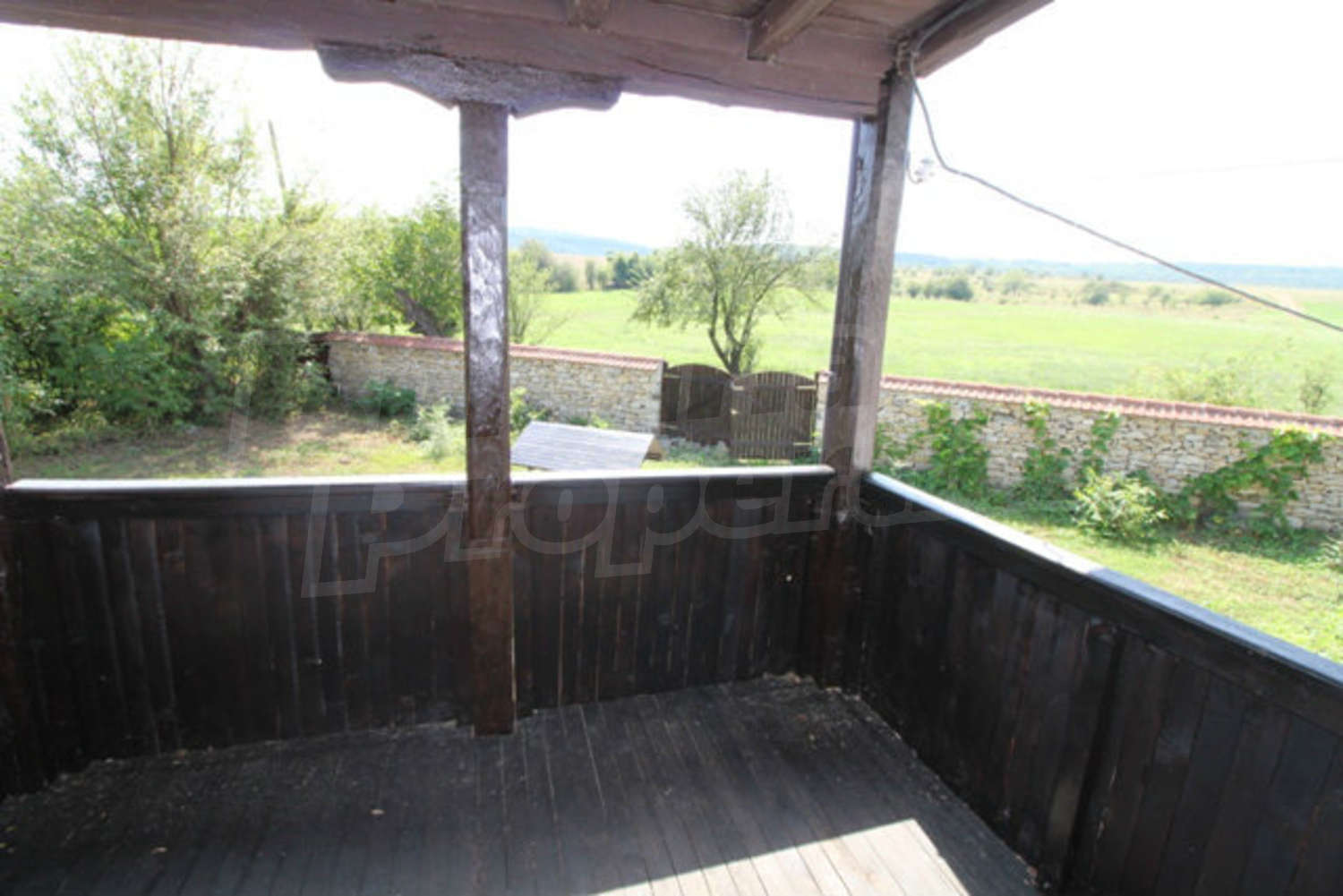 Gallery Picture 27