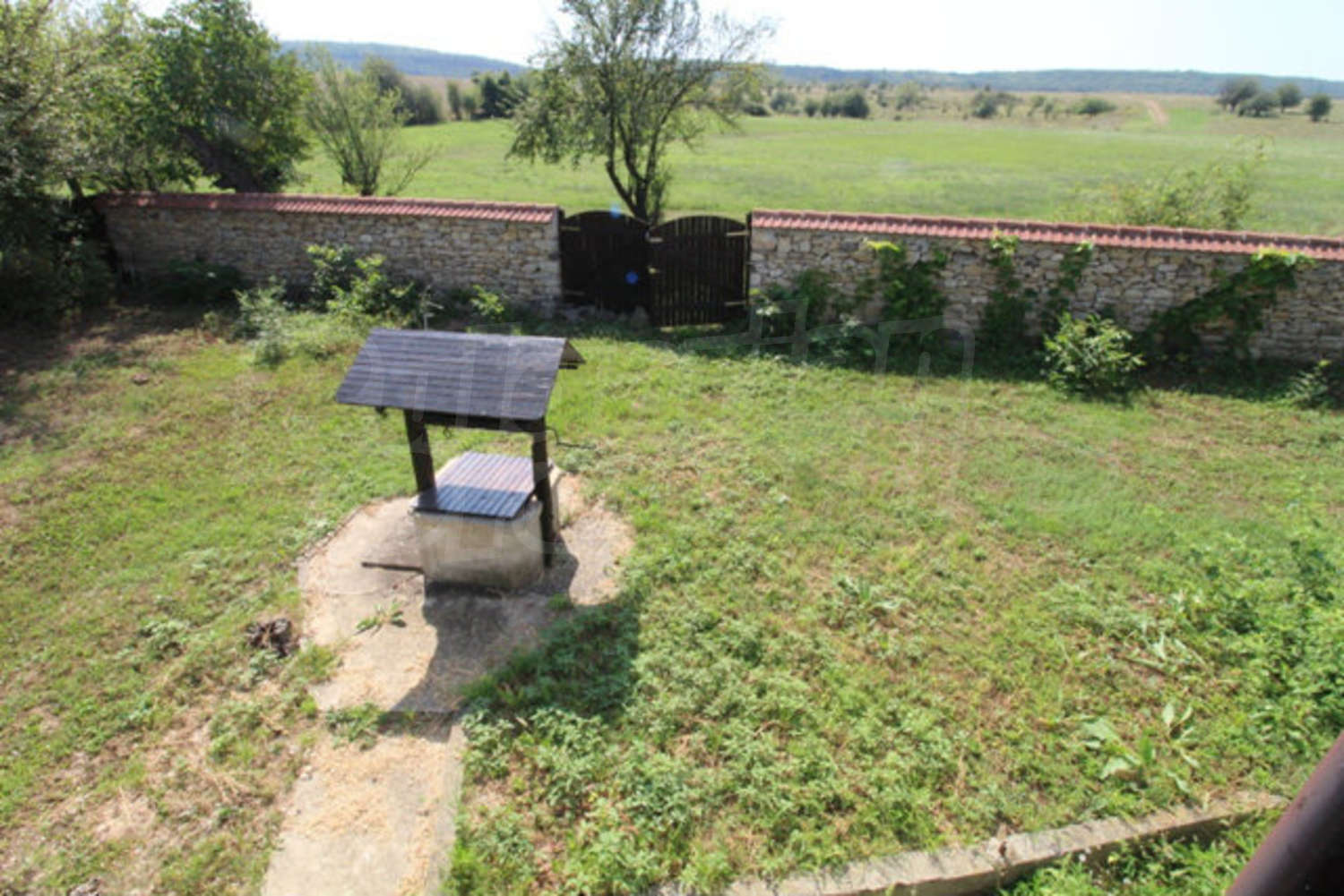 Gallery Picture 29