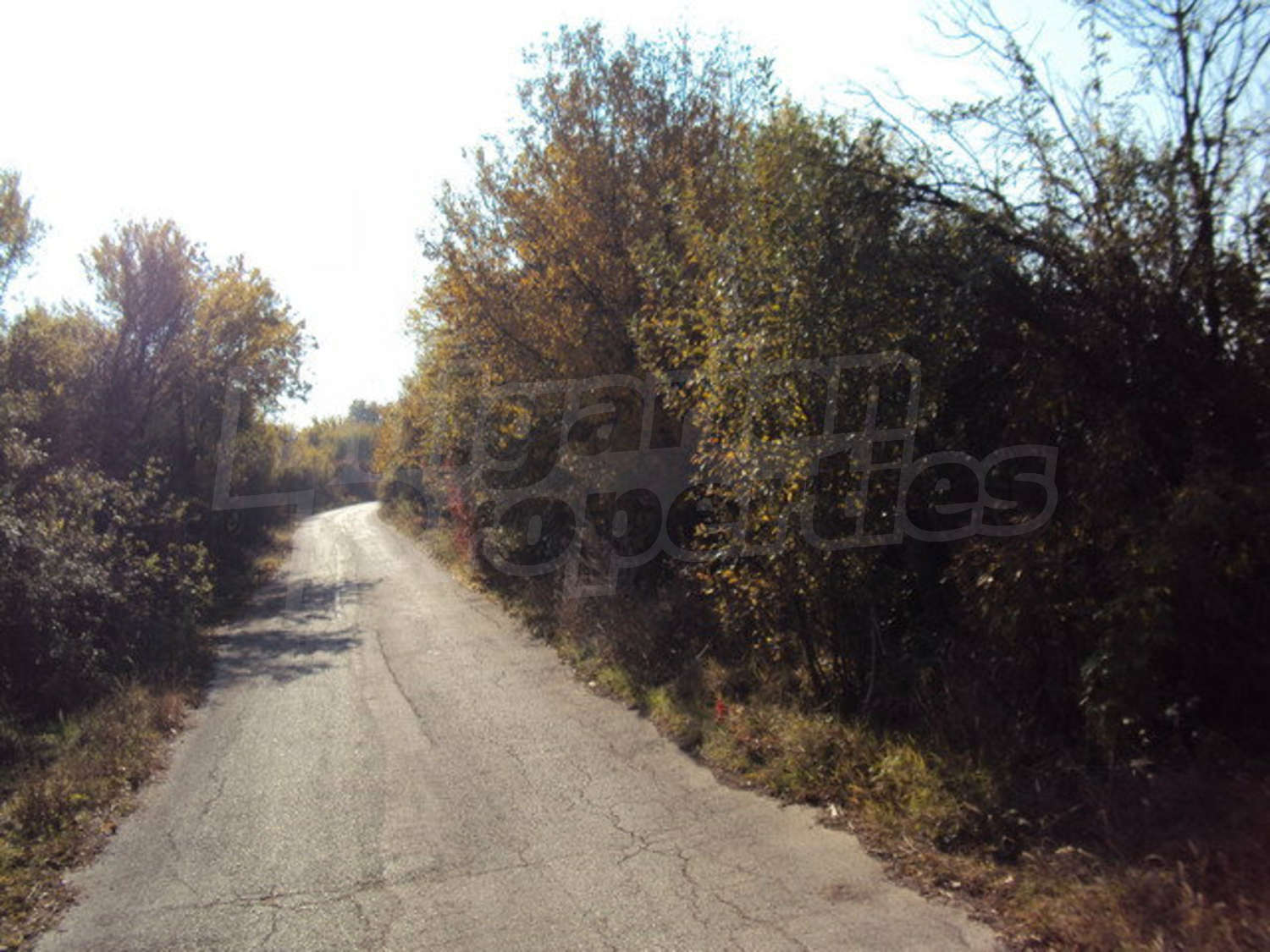 Gallery Picture 46