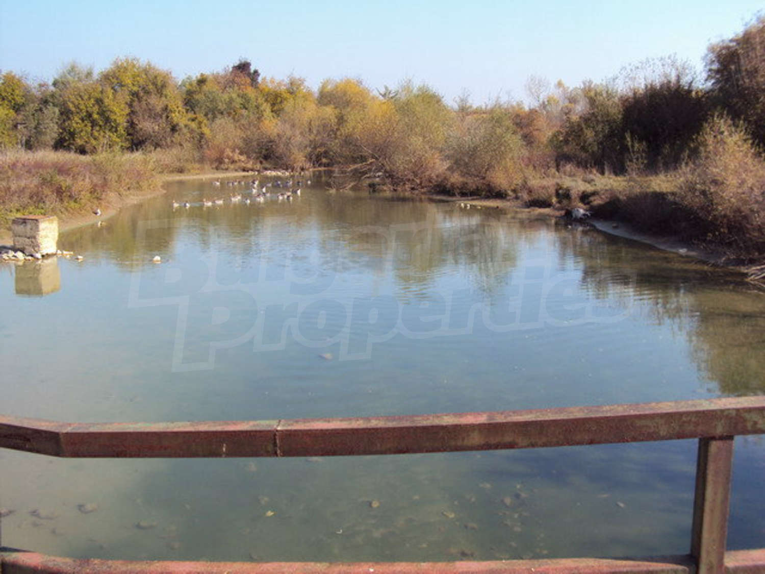 Gallery Picture 48