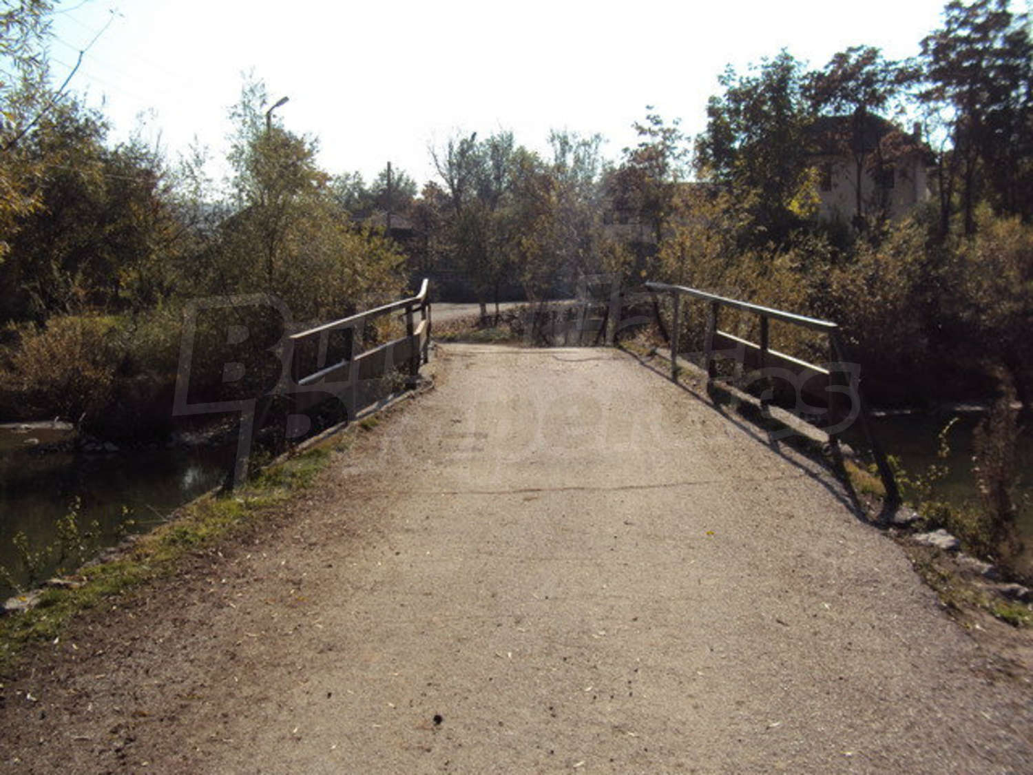 Gallery Picture 50