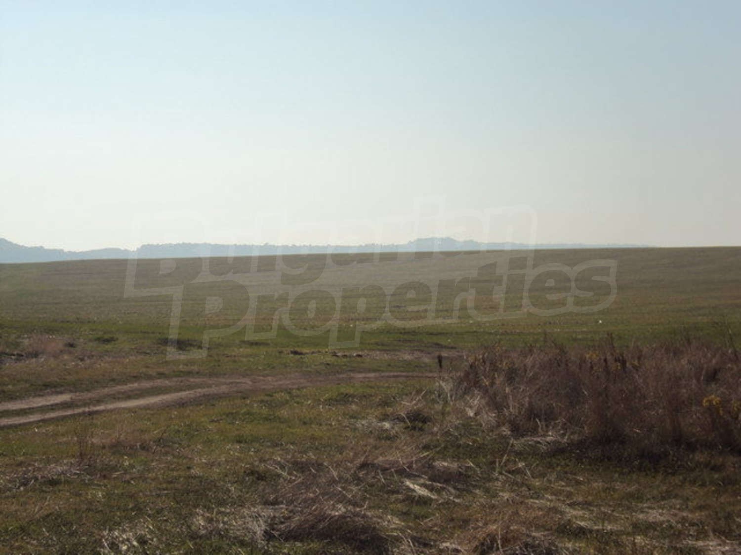 Gallery Picture 55