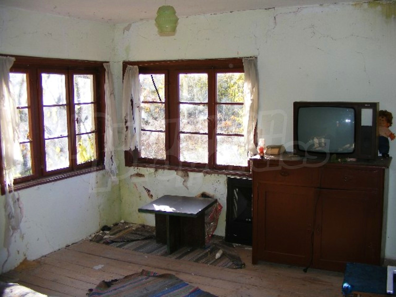 Gallery Picture 12