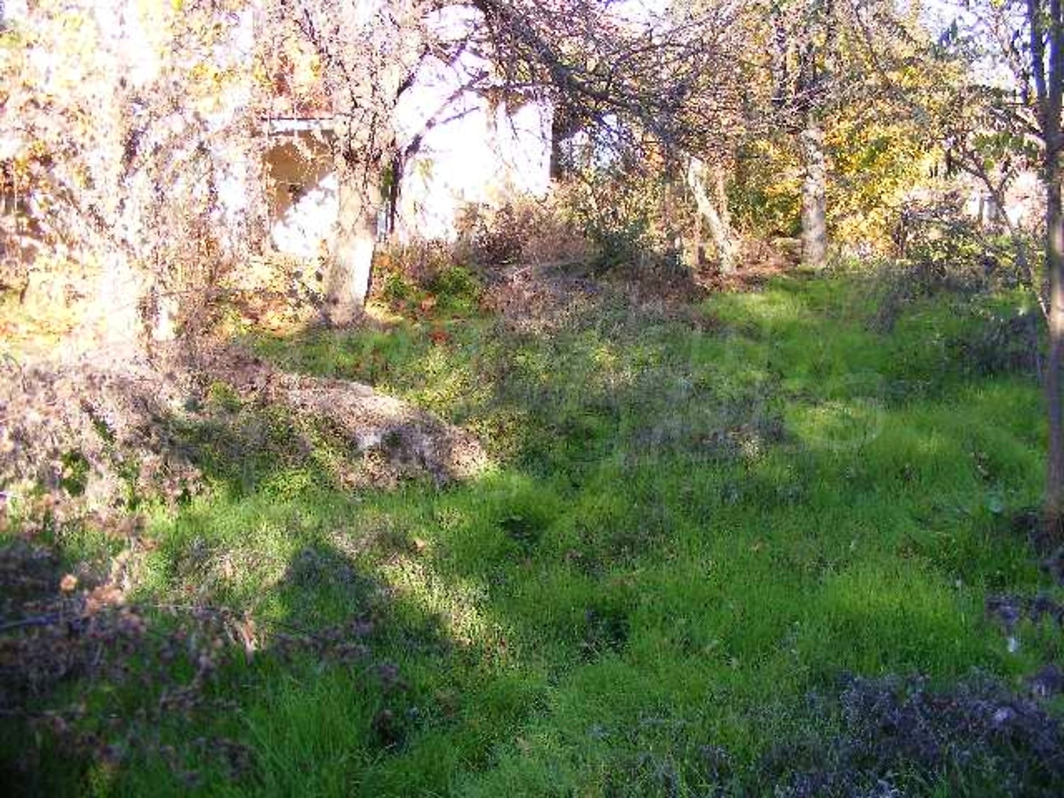 Gallery Picture 14