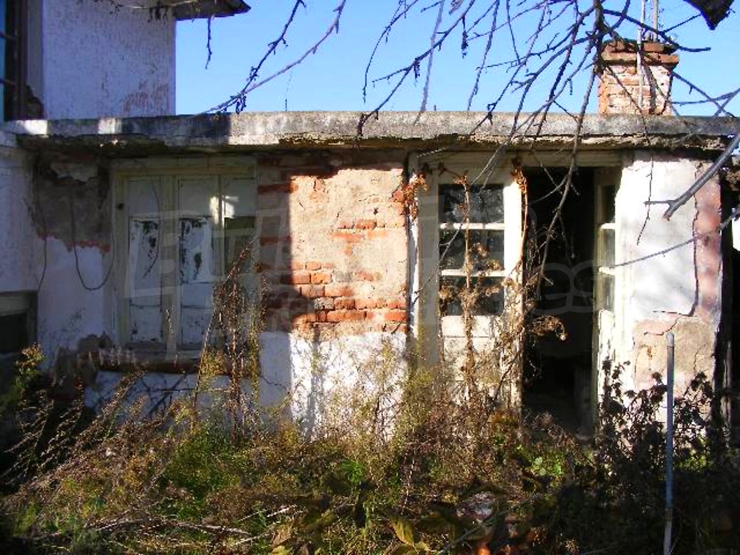 Gallery Picture 17