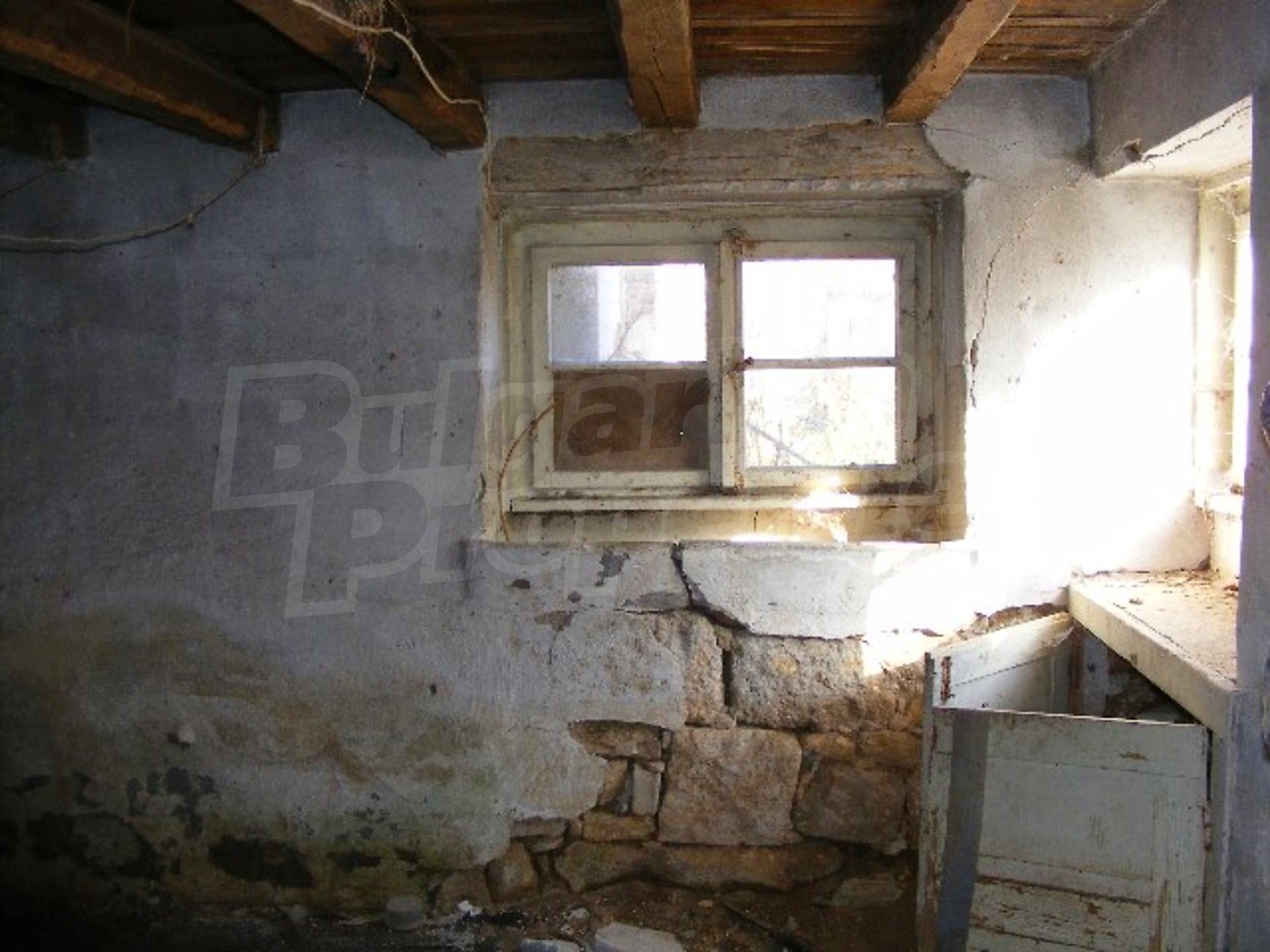 Gallery Picture 6