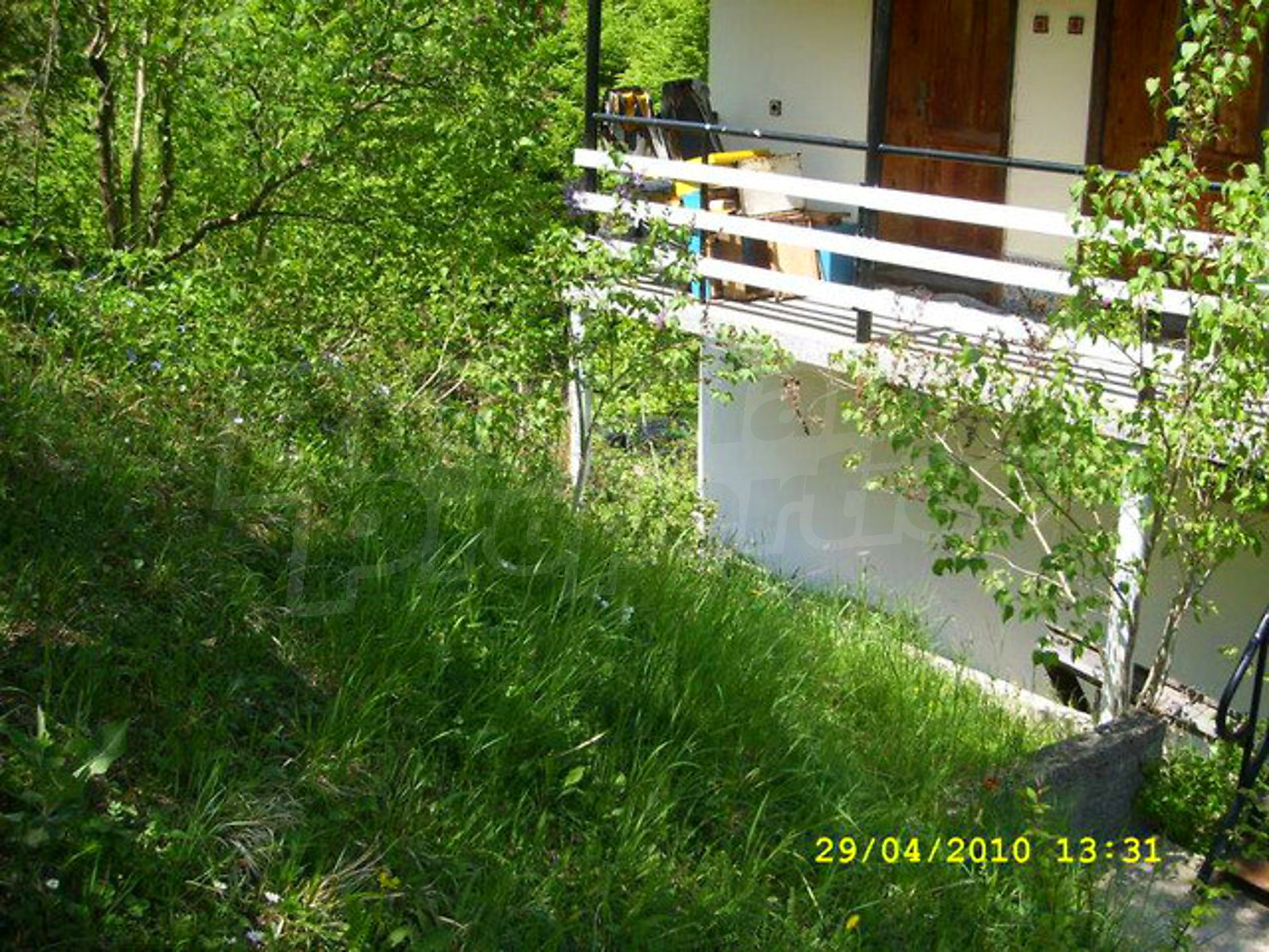 Gallery Picture 22