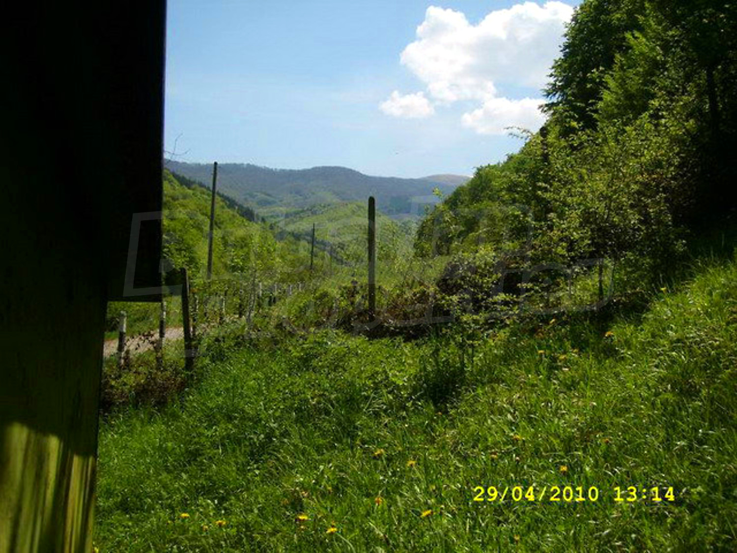 Gallery Picture 24