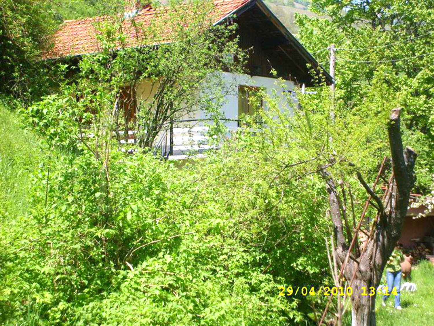 Gallery Picture 25