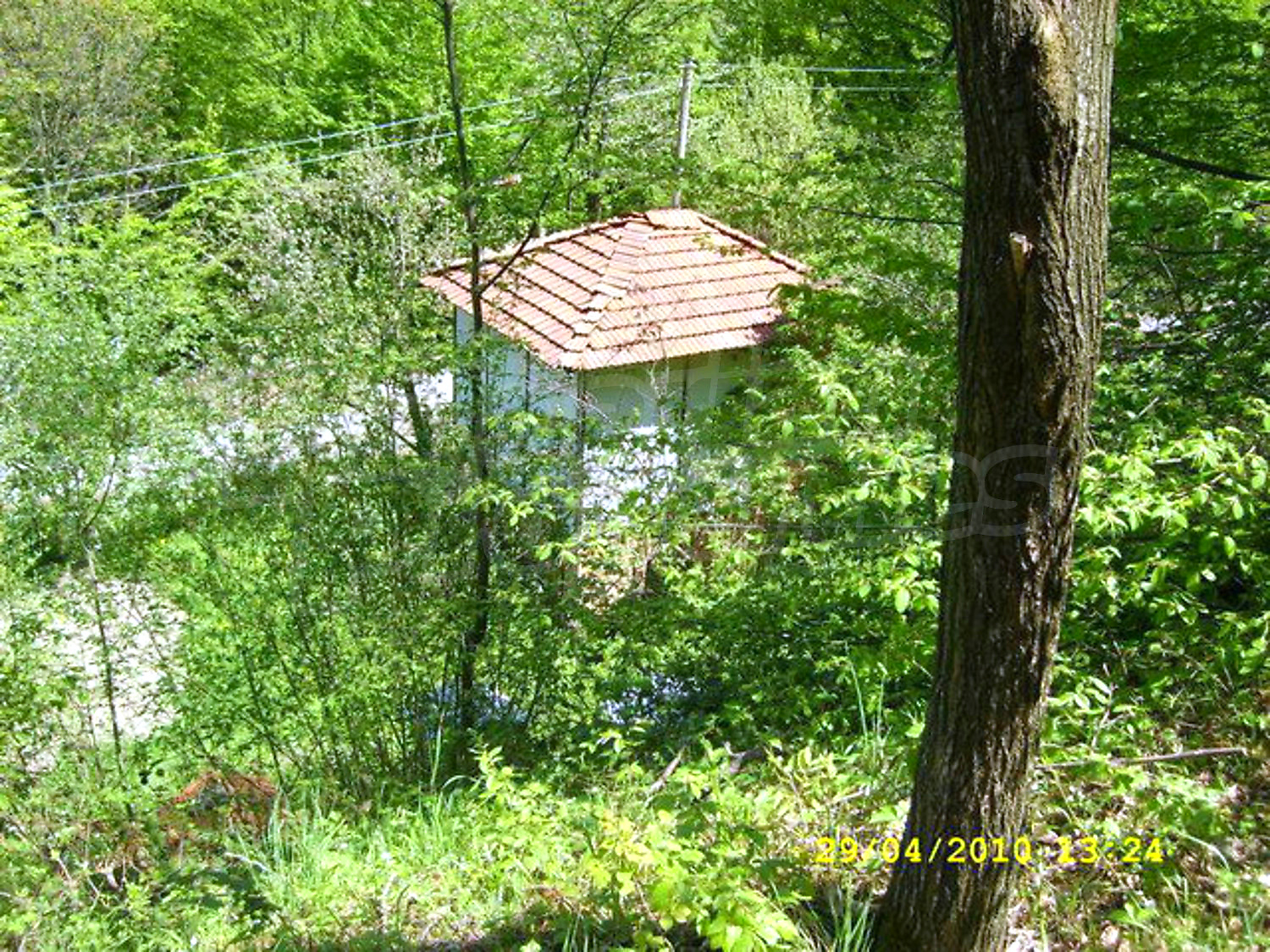 Gallery Picture 26