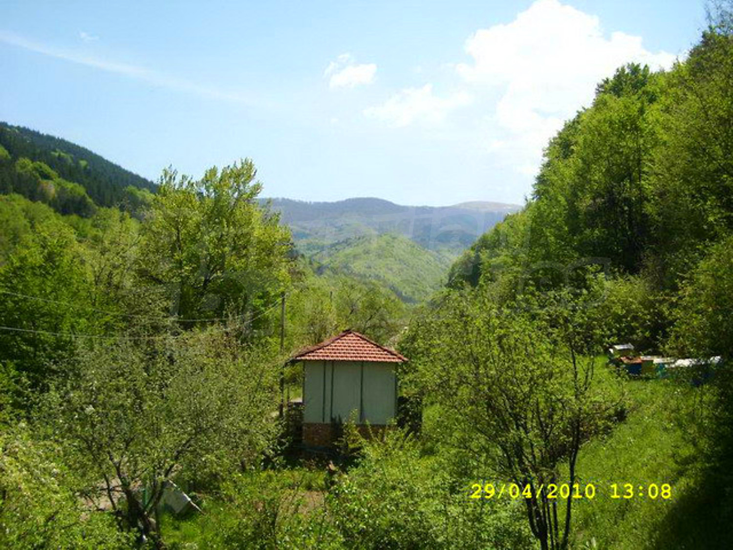 Gallery Picture 27
