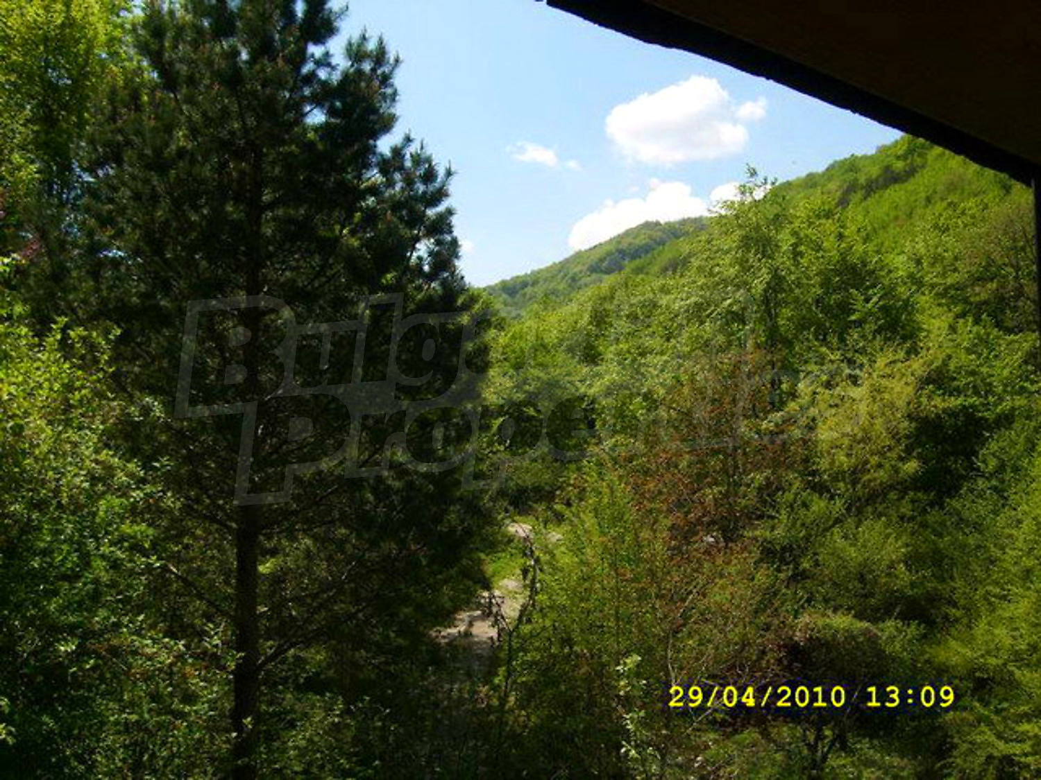 Gallery Picture 28