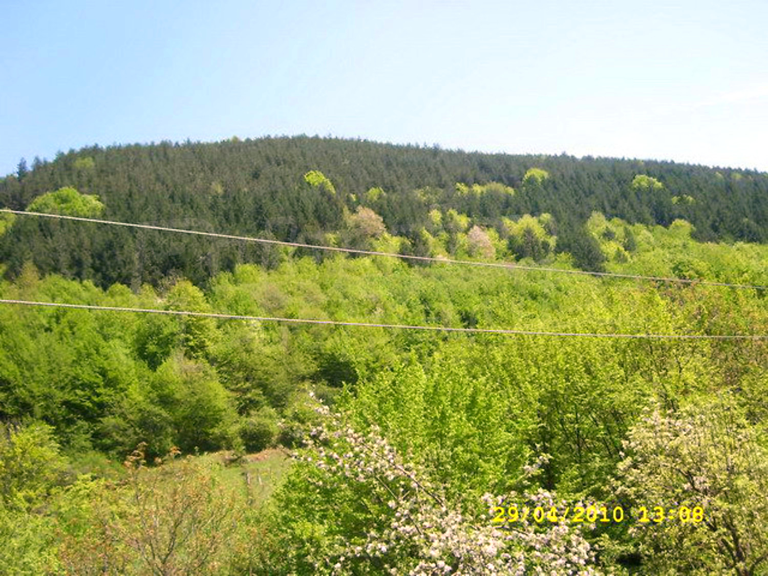 Gallery Picture 29