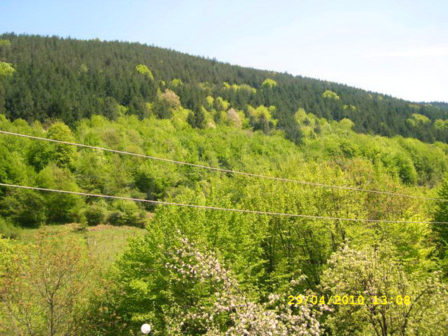 Gallery Picture 30