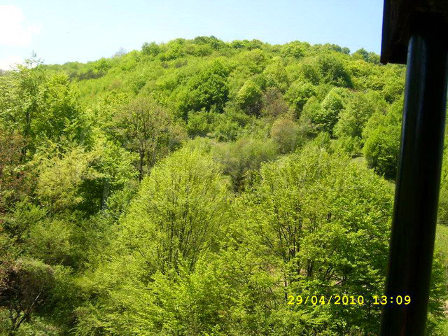 Gallery Picture 31