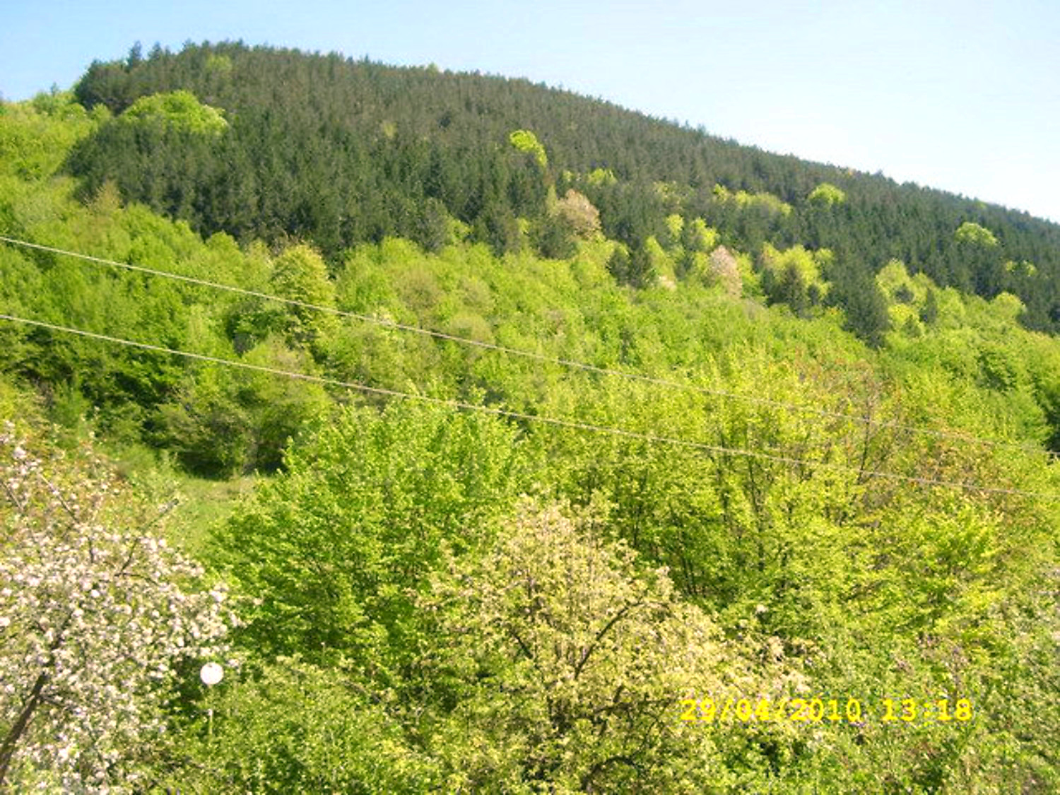 Gallery Picture 33