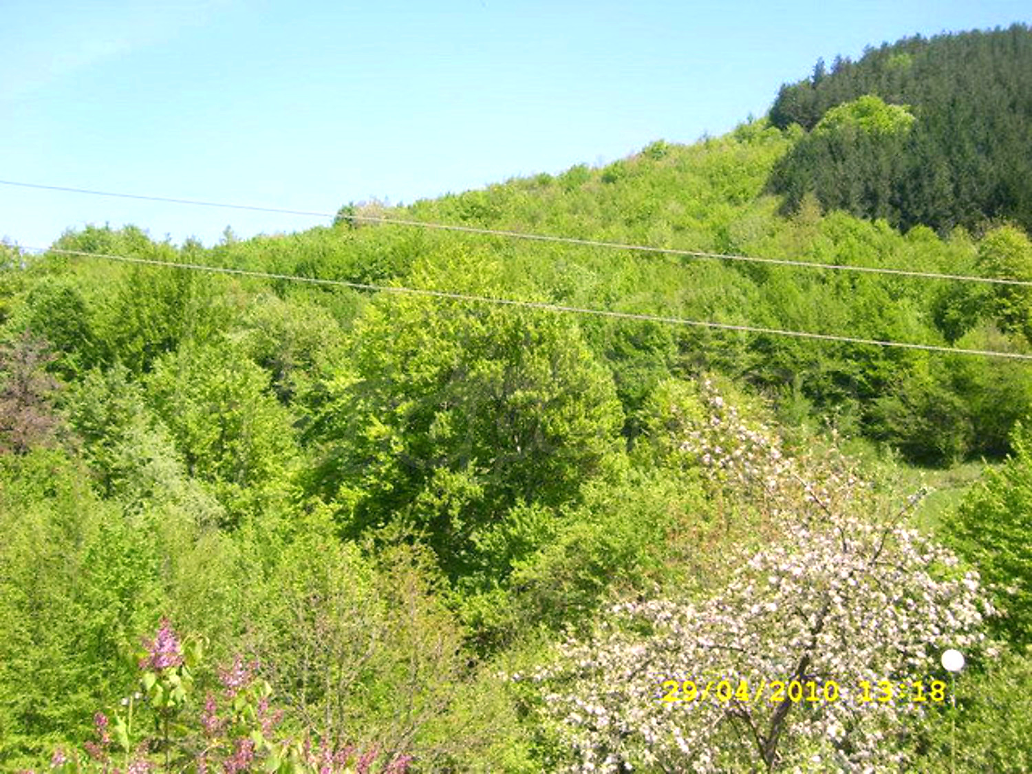 Gallery Picture 34